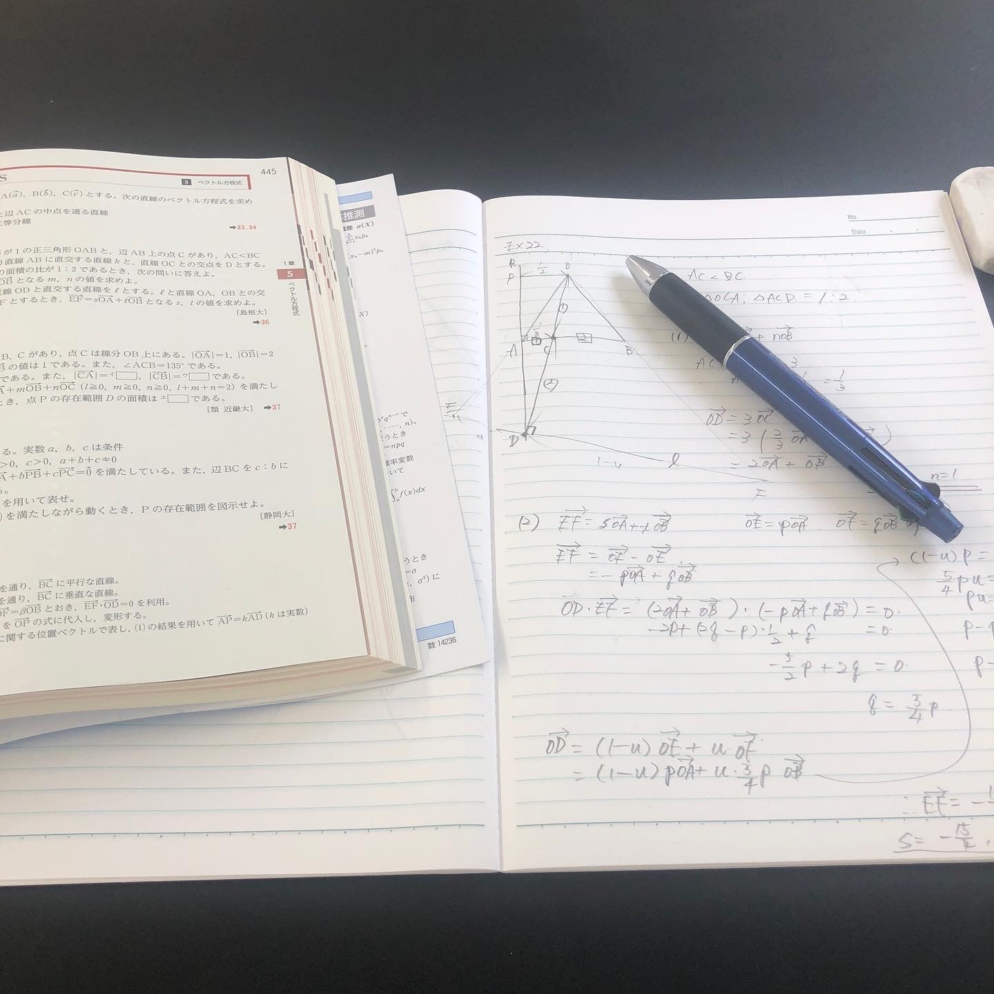 大人の学びも大歓迎！