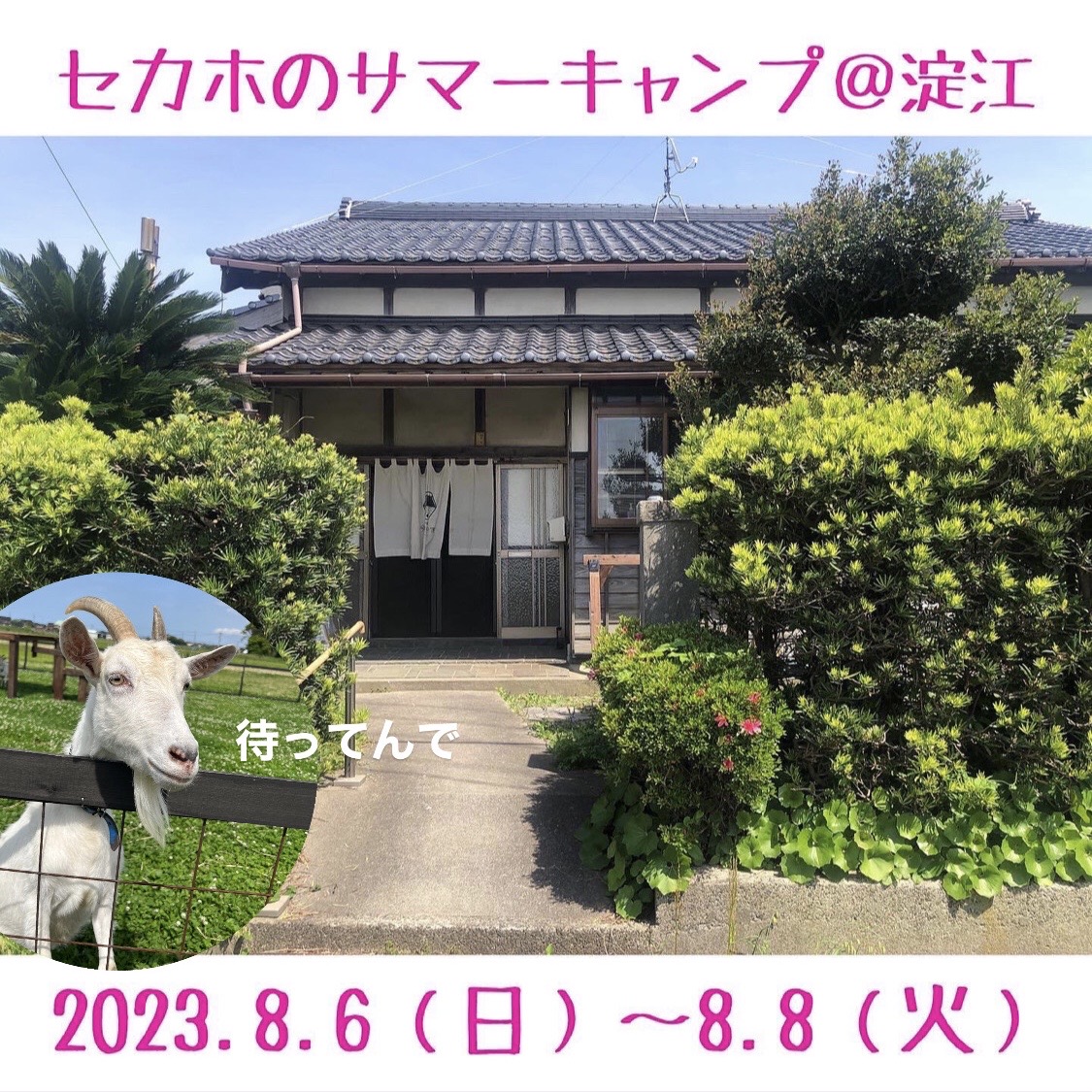サマーキャンプのお申込みを開始しました
