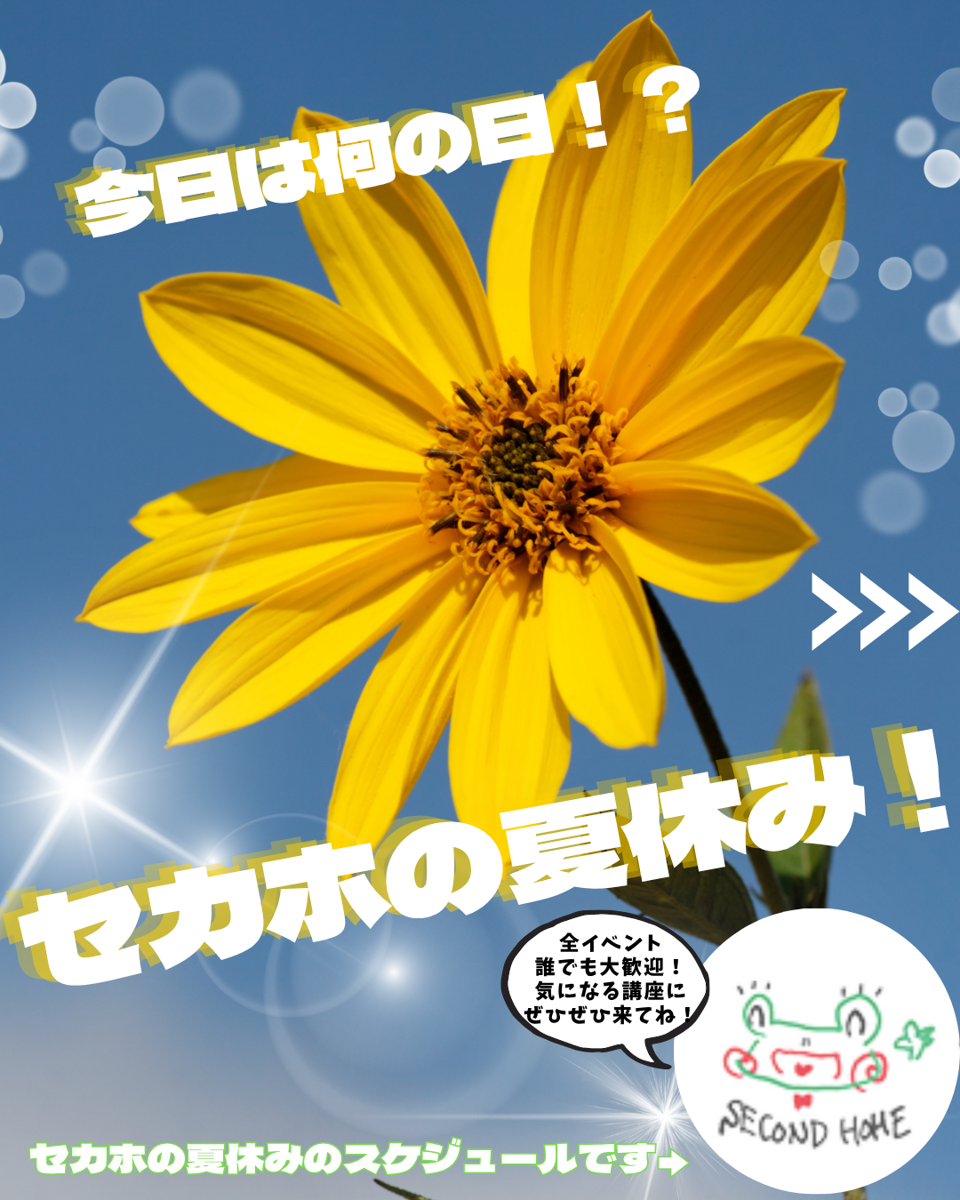 セカホの夏にみんな集まれ！