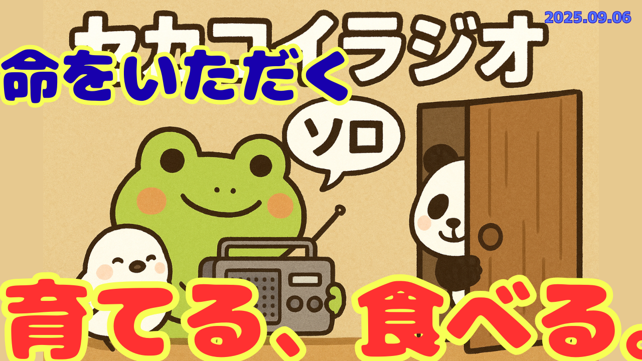 セカコイラジオ244 〈命をいただく〉育てて食べるまでやる授業（選択制）