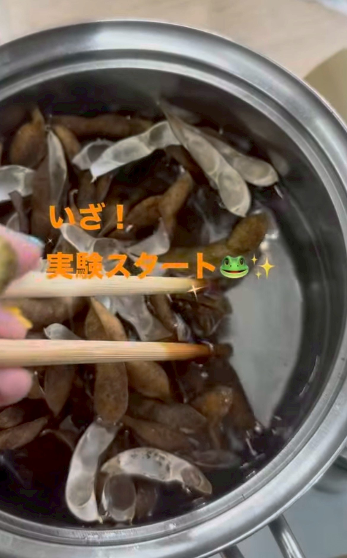 気になることはやってみよう！